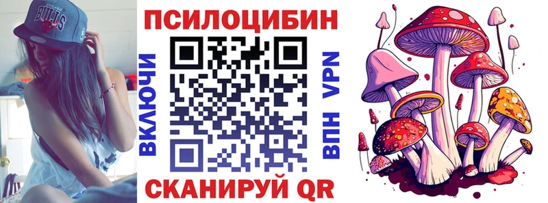 Купить где  Сосновка  Псилоцибиновые грибы Psilocybe 