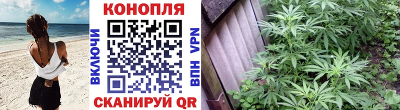 Купить закладки  Сосновка  Марихуана ГИДРОПОН 